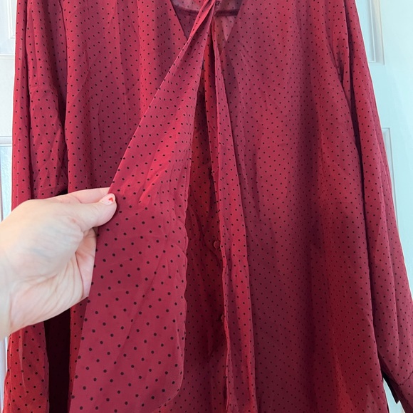 NWT Polka Dot Mens Style Blouse with adorable details - Picture 2 of 6